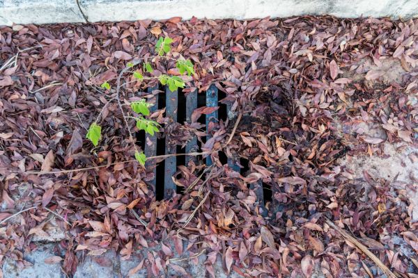 Cost of Yard Drain Unclogging in Avon