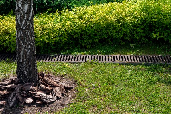 Cost of Wet Yard Drainage in Avon