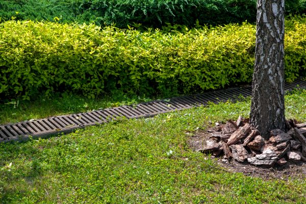 Cost of Residential Landscape Drainage in Avon