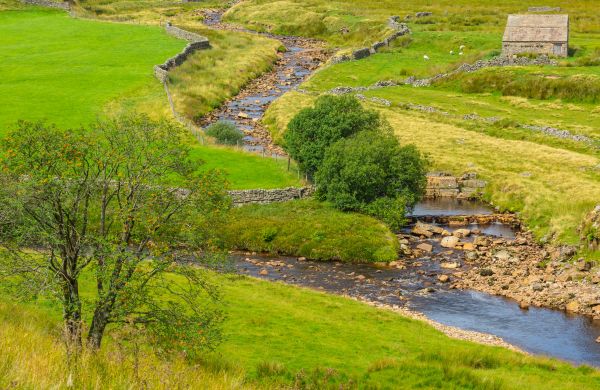 Cost of Swale Repair in Avon
